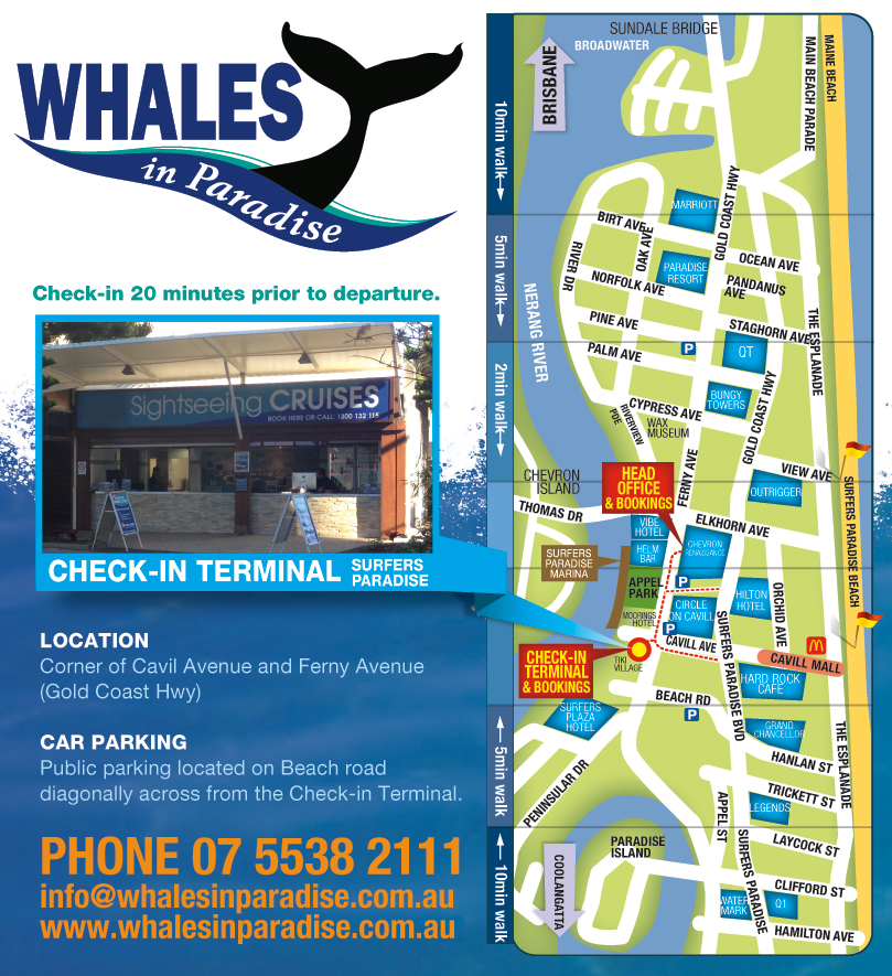 Check In Map